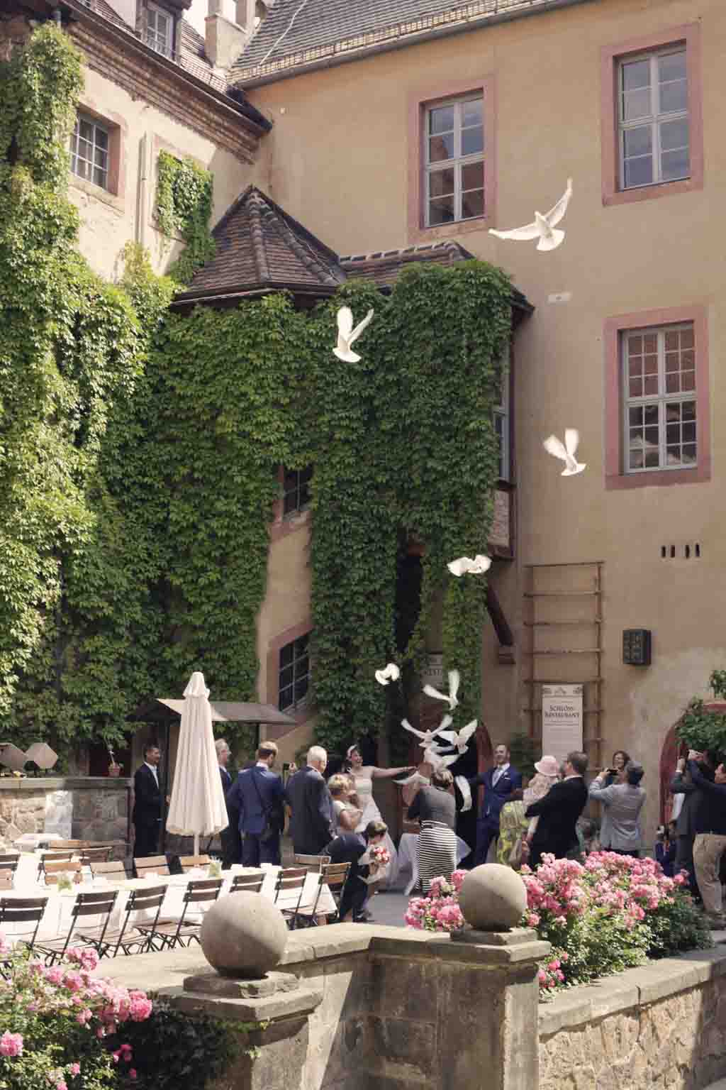 Tauben bei einer Hochzeitsreportage auf Schloss Trebsen